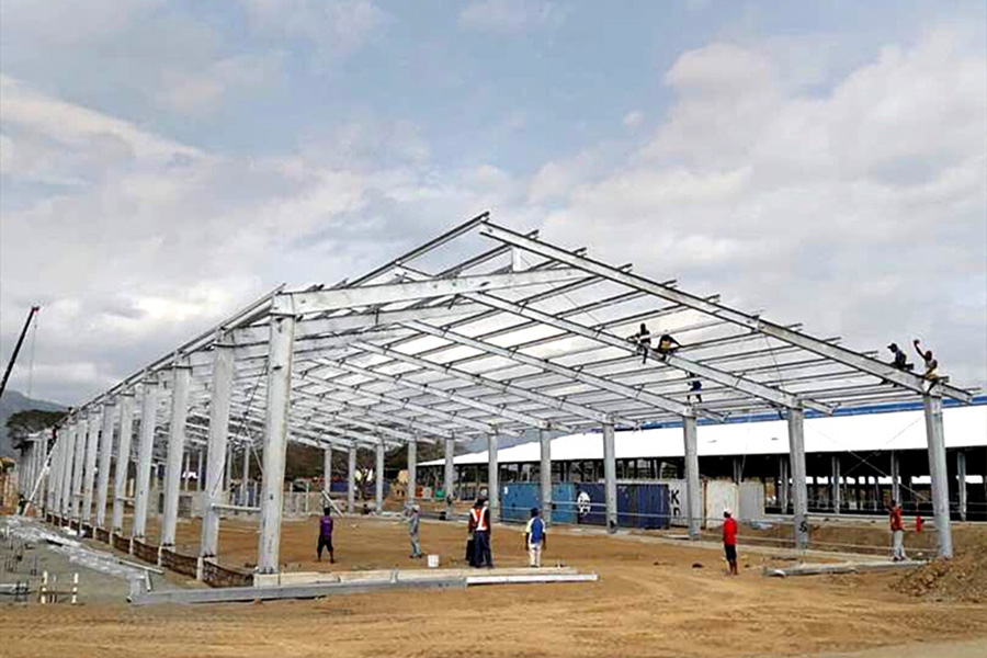 Cattle farm in Papua New Guinea9