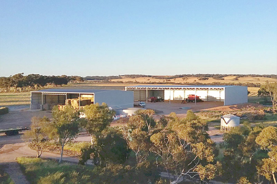 Piggery in Australia2