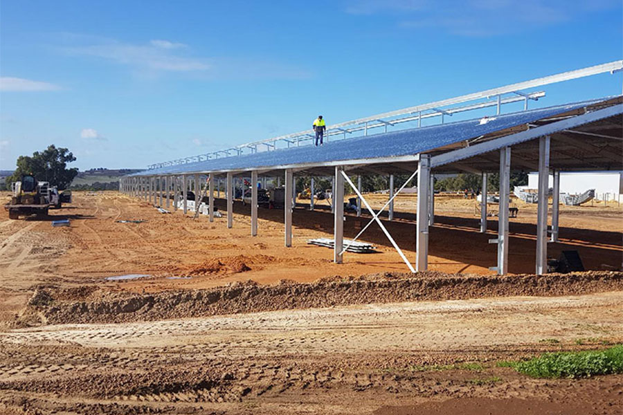 Piggery in Australia4